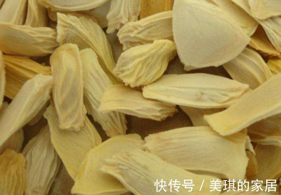 阳台上|柚子核是个宝，埋在花盆里，长成小树