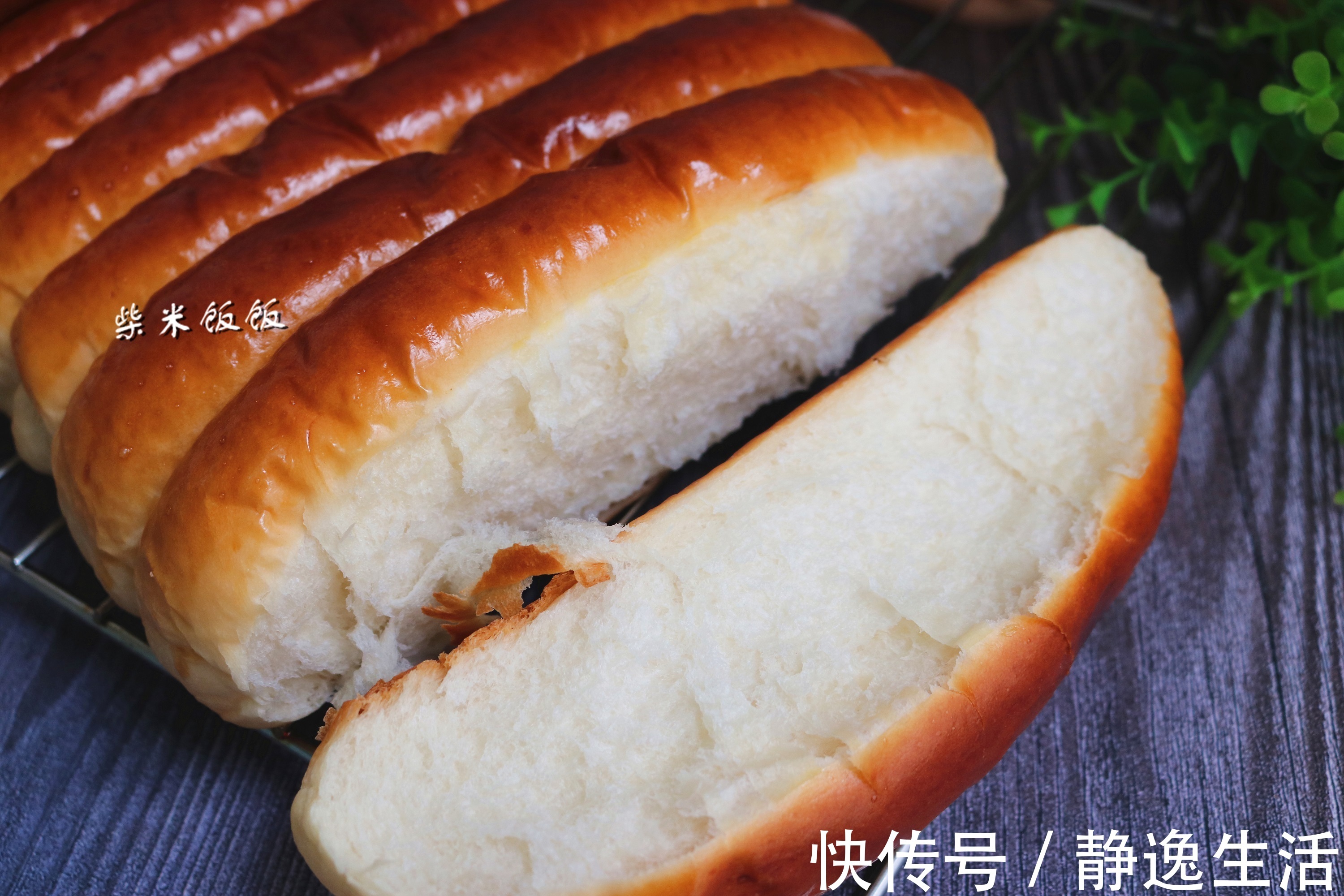 发酵|面团发不起来很可能是酵母用错了!选对酵母,30分钟发满盆
