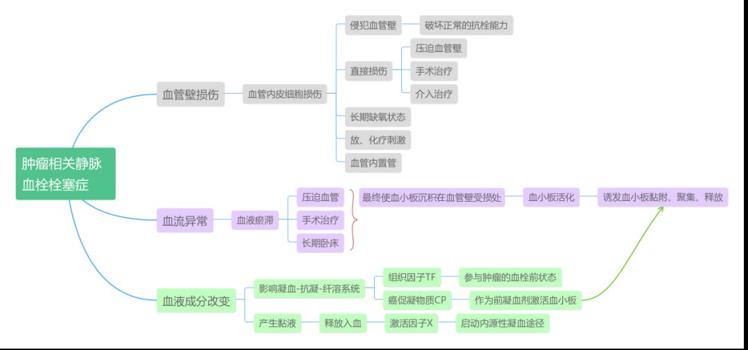 思维导图|巧用思维导图，轻松get血栓知识