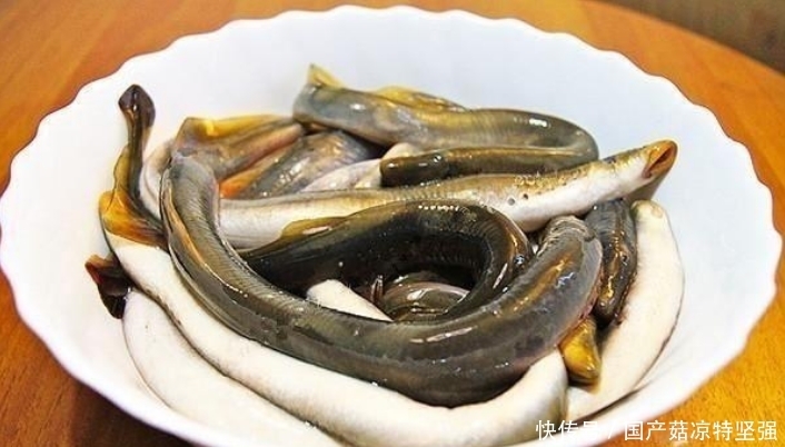 不知所措|男子夜钓发现怪异生物, 捞上不知所措, 网友: 油炸最美味