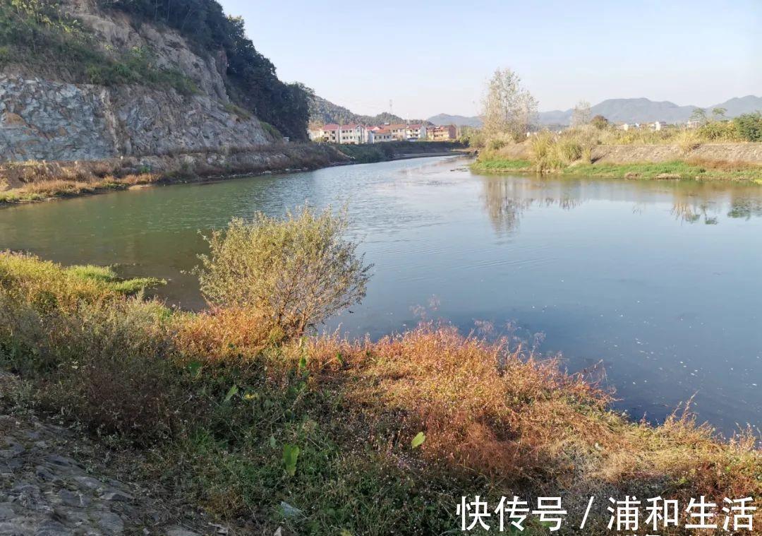 盯紧你的浮漂!冬天野钓别等黑漂,这样的小信号也能中鱼