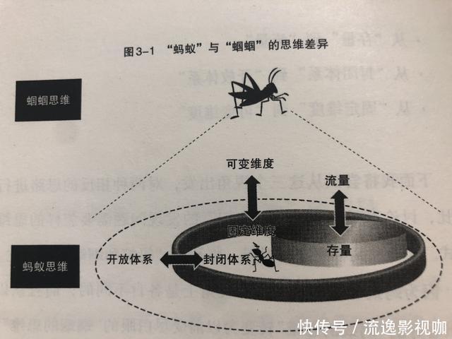 蚂蚁|为什么你35岁还没有做到管理层你永远解决不了你想不到的问题