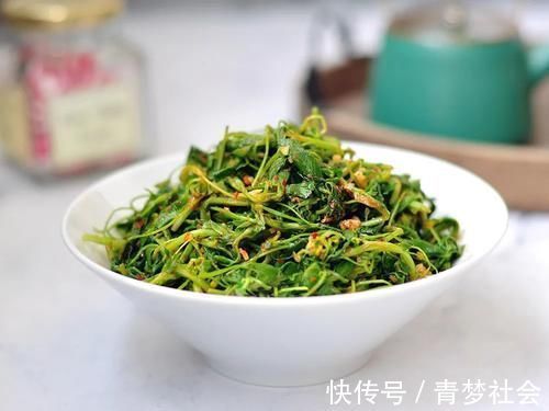 猪大肠|它被称为“牧草之王”,在城里却成了营养野菜,10元1斤很畅销