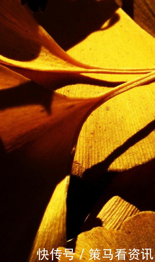 眼前一亮|一生不可不读的25句经典语录,句句娓娓动听,让人眼前一亮