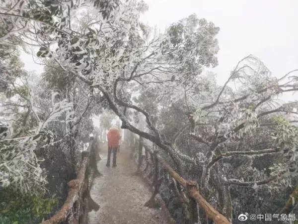 冰挂|这里的冰挂晶莹剔透