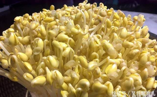 在家|教你在家发豆芽,不用土壤不用肥料,3天就能吃,脆嫩营养又卫生