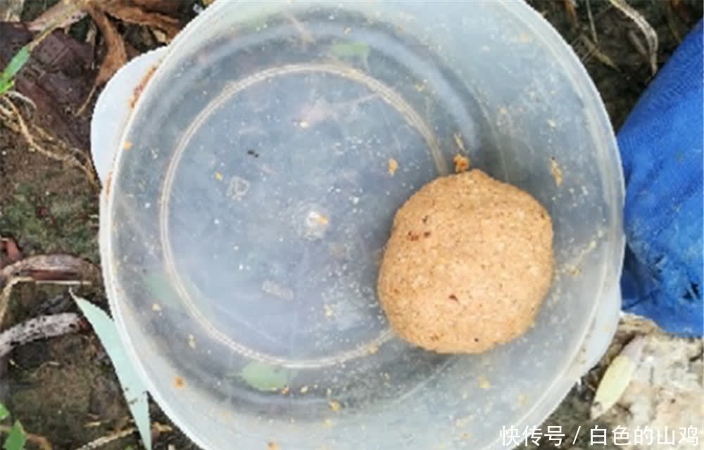 清明过后钓鱼，套路上有4钓4不钓，技巧跟着节气走，渔获差不了