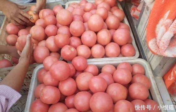 西红柿“红皮的好”还是“粉皮的好”?果农给出答案,别再买错了