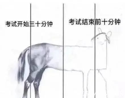 美术生&美术生考试最后五分钟的灵魂画手，看完笑的停不下来