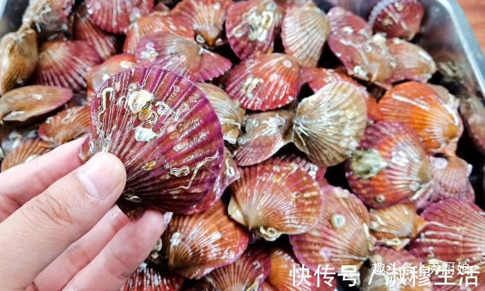 鲜嫩|蒸扇贝时，记得不要加水蒸，海边人教你正确做法，鲜嫩美味还不腥