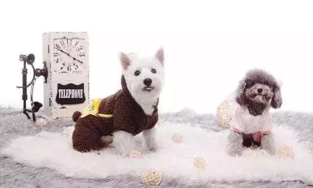 床上螨虫成窝,家里老人小孩老过敏,教你1个土法子,让螨虫消失