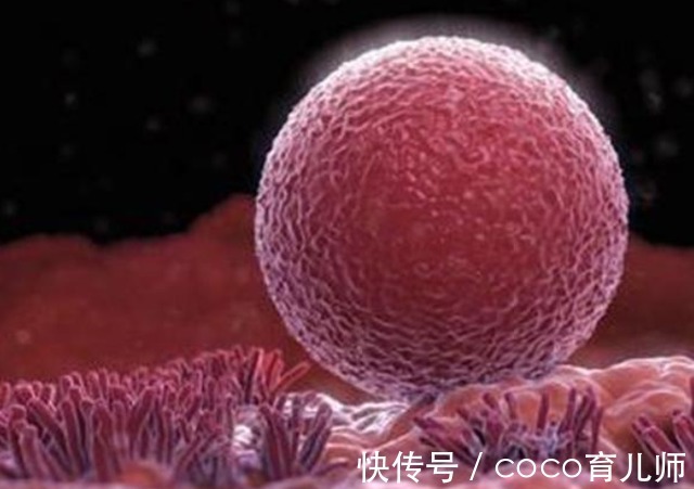 医生|转氨酶升高是肝脏不好吗？医生提醒：几个原因不容忽视