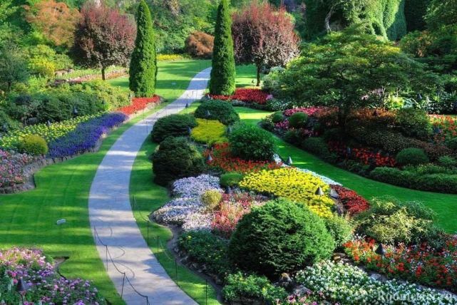 植物“整形”，花样百出