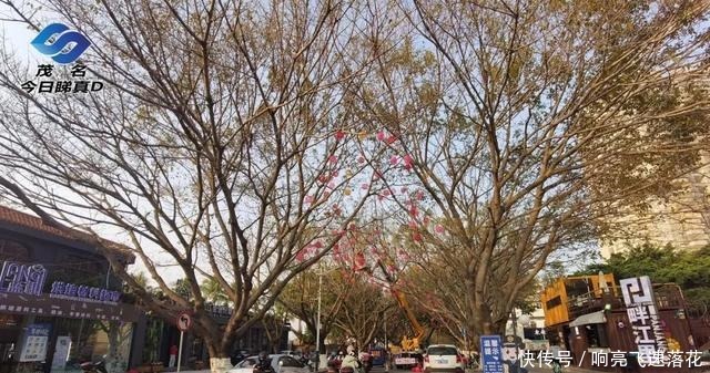 茂名小东江超级月亮下水，沿江路开始变身星光大道！