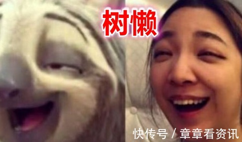 树懒|同样是撞脸动漫人物,艾莎美丽,树懒可爱,而她简直是神还原