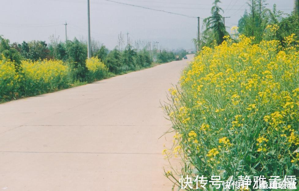 积蓄|农民为了在城里买房可是花了一辈子积蓄,到后来为啥又后悔了