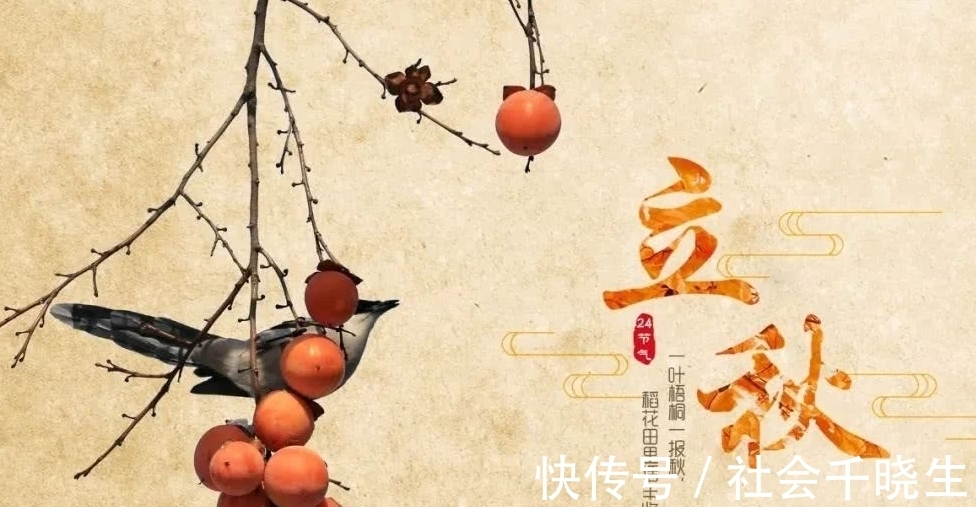 手软|立秋了，遇到鱼别手软，无法人工养殖，营养价值高