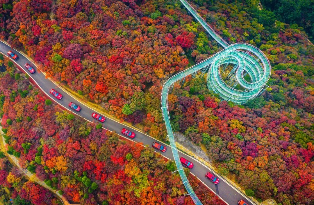 小红书|年末回顾！这份淄博景区的测试题，你能答对几道？