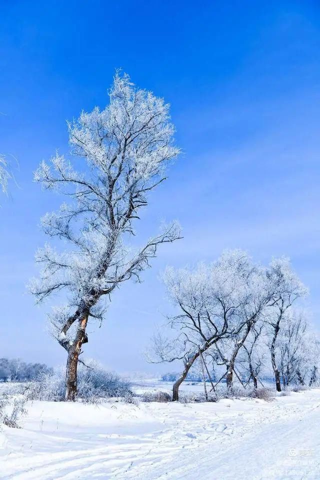 童话|冰天雪地，童话吉林