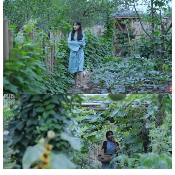 一夜成名|29岁身价过亿,李子柒和资本的恩怨纠缠,如何能够全身而退?