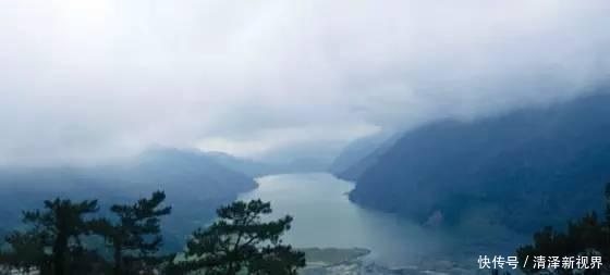 家禽|野钓时遇到这样的钓位别错过,这些都是绝佳的钓位!