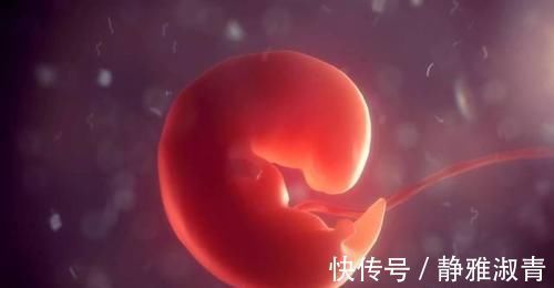 体重|怀孕1~10个月,胎儿发育变化全过程!想“修炼成人”还得过四关