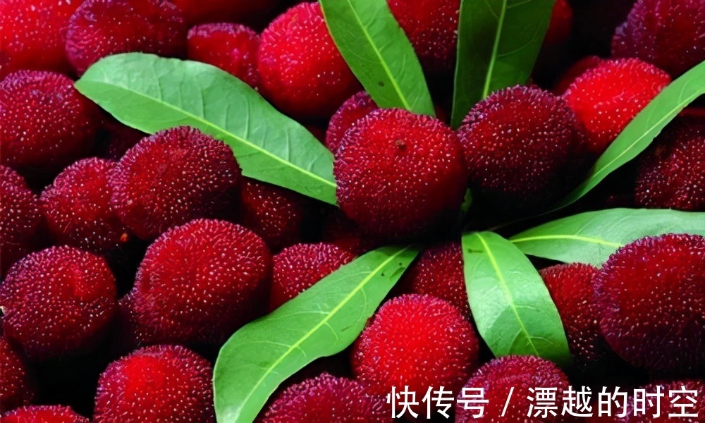 杨梅|对身体很好的三种食物,坚持天天吃一些,滋补身体,好吃又不贵