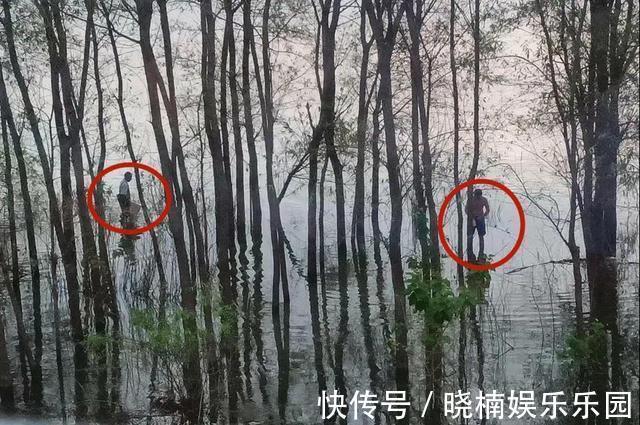 长江|13人因钓鱼被抓,禁渔期禁令并非玩笑,如何合法钓鱼?