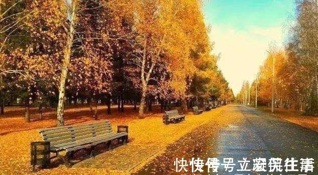 海棠依旧#宋人笔下的风如何?这2首宋词告诉你,忍不住不看的美!