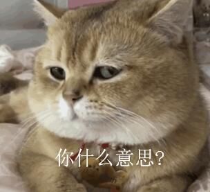 闪耀|闪耀暖暖摊上事！因一套服装，韩国网友更是认定汉服抄袭＂韩服＂