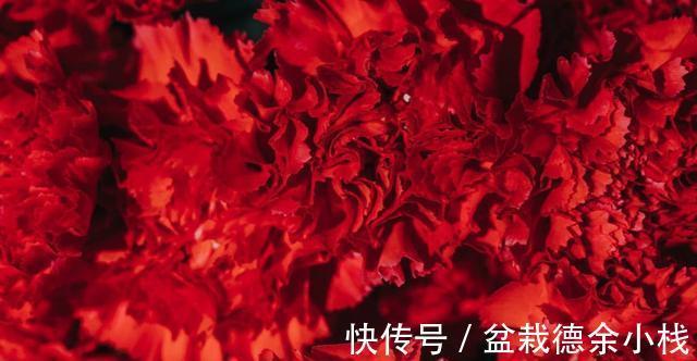 月老|10月2日-10月19日，桃花盛开，月老送缘，牵手良缘，牵手旧爱