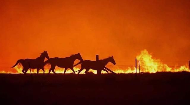 温室气体浓度再创新高!又说10年后地球进入小冰河,冷热难分?