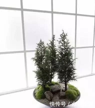 也许你不需要一个庭院就能有一个园林