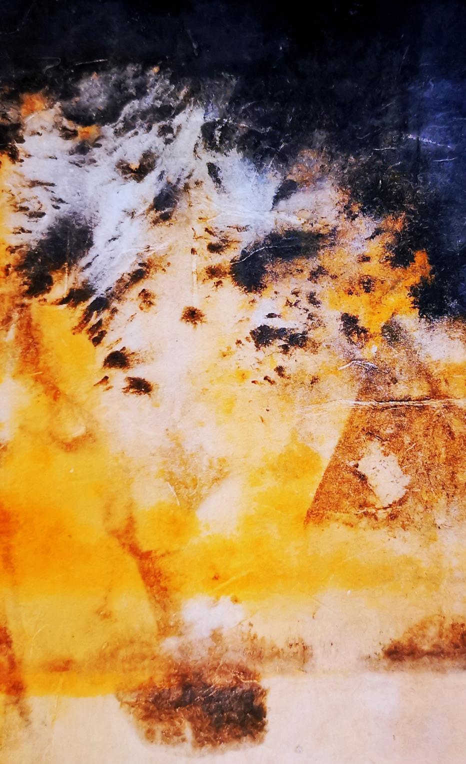 x60|丁显洲中国画作品赏析