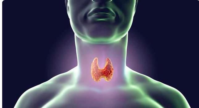 蒲公英|甲状腺结节“天敌”或被找到，每天喝点，结节走远远