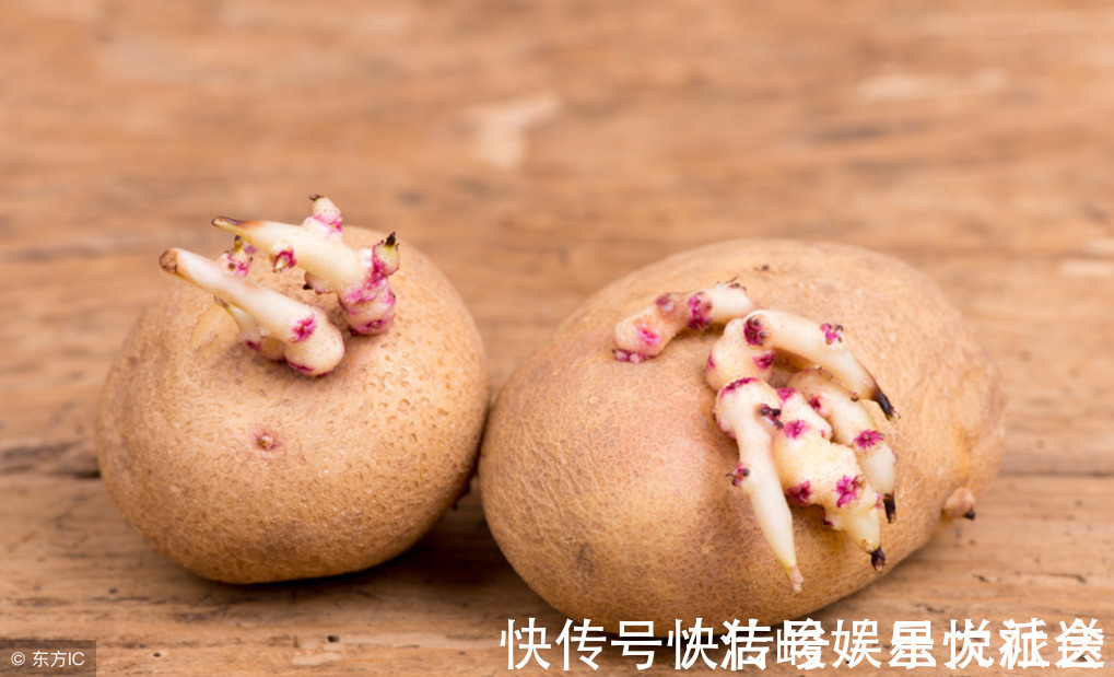 霉菌|藏在家里的“一级致癌物”,为了家人的健康,及时扔掉为好