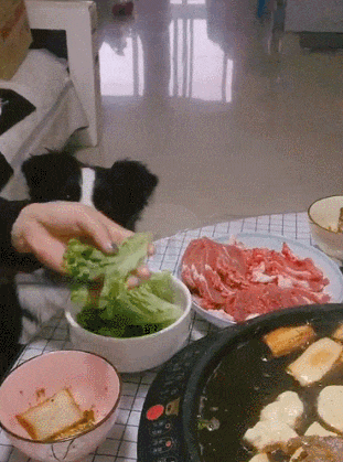 |搞笑GIF:像泥鳅一样的舌头,好长啊