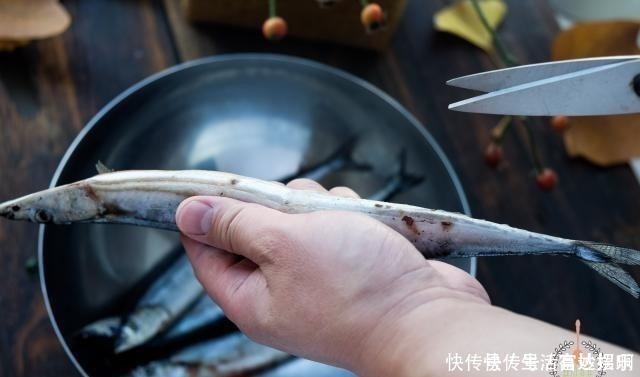 脑黄金|这鱼在日本被称为脑黄金,价格昂贵,中国便宜,很少人吃