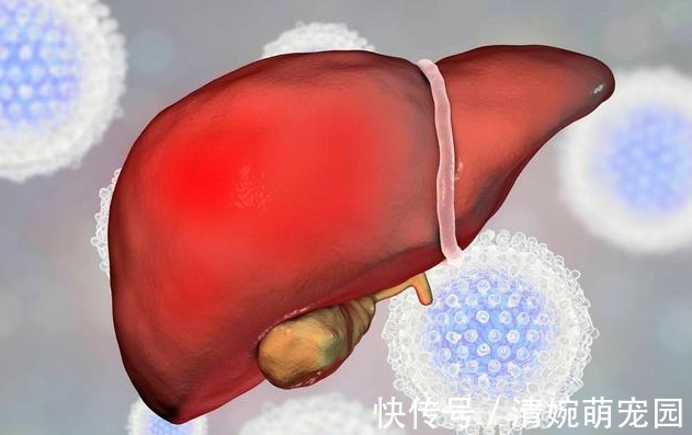 西兰花|肝不好的人,忌口“三白”,常吃“四绿”,肝一天比一天好