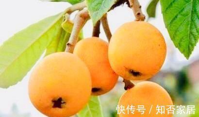 排毒养颜|想长寿要先会吃,3种食物离不开,排毒养颜,好处多多