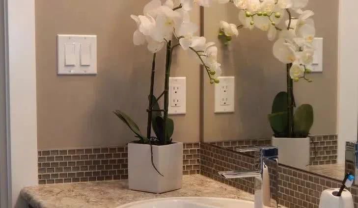 风油精倒进白醋里，解决家家户户的困扰，后悔才知道