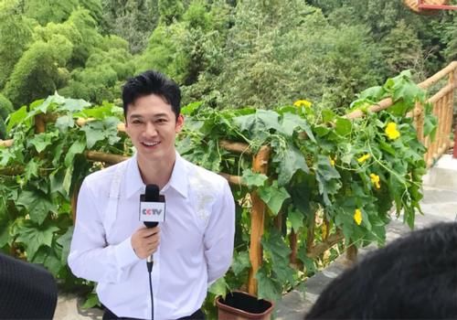 央视春晚新主持张韬帅气，高颜值神似黄晓明，与董卿康辉相处融洽