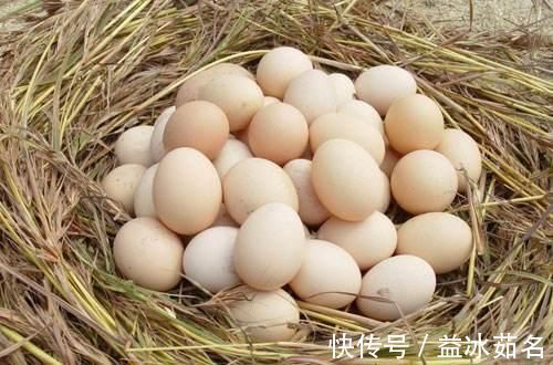 保护膜|鸡蛋这样存放，会变成“毒鸡蛋”？网友：这个提醒太及时了