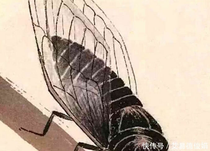 专家|齐白石一只“蝉”凭啥能卖到8亿, 专家 放大30倍再看!