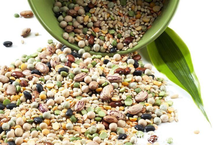 营养不良|柳叶刀：中国“饮食杀手”不是油和糖！致死率前三的吃法，尽快改