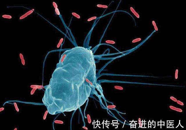 中药|成都中医肿瘤研究院万年路2号:患了肿瘤不想手术怎么办,中医治疗有方法