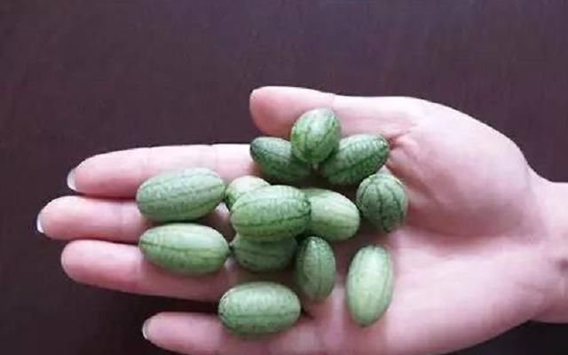 名字|5种名不副实的昂贵水果,吃一口就后悔,网友就名字好听