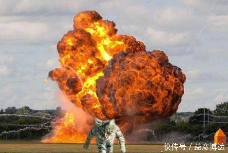 唐三彩|霸气猫手办过于“魔性”,视觉错位却毫不违和,被粉丝疯狂追捧