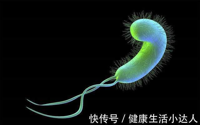 慢性胃炎|感染了幽门螺杆菌,会有什么“下场”?出现4个现象,要注意了