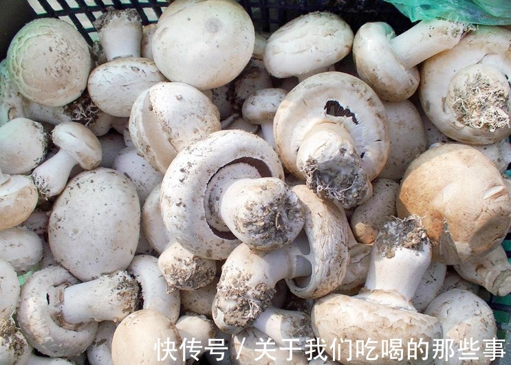 线椒|唯一能提供维D的蔬菜，营养又鲜美，多给老人孩子吃，就是有点贵